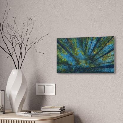 Forest Canopy Canvas Print — Upward View Trees Wall Art (Stretched Canvas 0.75")