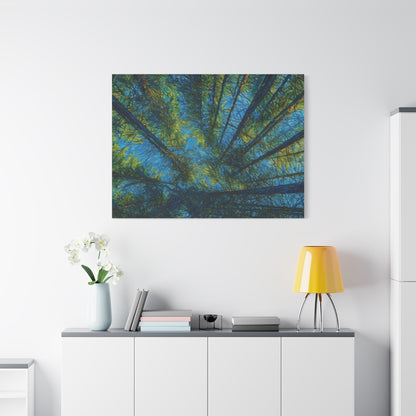 Forest Canopy Matte Canvas Wall Art — Upward View of Trees, Blue & Green Nature Print