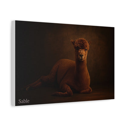 Alpaca portrait on matte canvas print, featuring a realistic alpaca image, by Printify on high-quality canvas artwork.