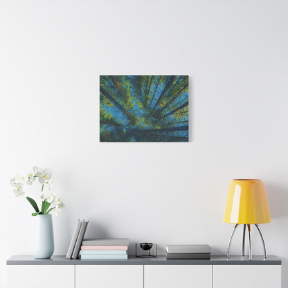 Forest Canopy Matte Canvas Wall Art — Upward View of Trees, Blue & Green Nature Print