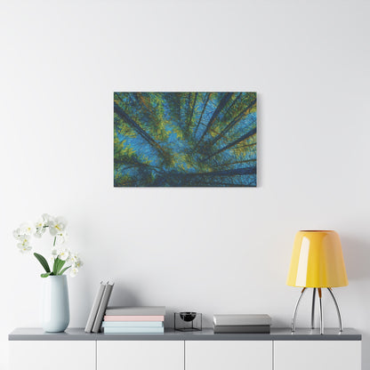 Forest Canopy Matte Canvas Wall Art — Upward View of Trees, Blue & Green Nature Print