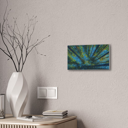 Canvas Wall Art, Forest Perspective Print, Nature Decor, Home & Office Art, Rustic Wall Hanging, Tree Art for Nature Lovers - TRV