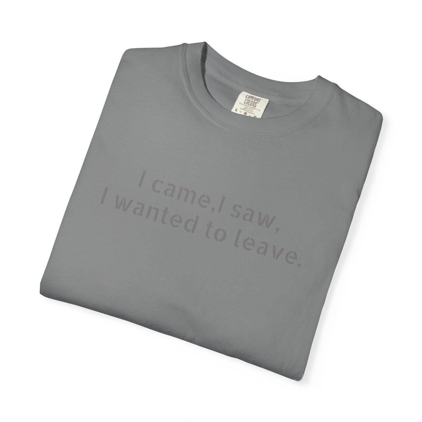 I came, I saw, I wanted to leave T-shirt | Minimal Text Tee