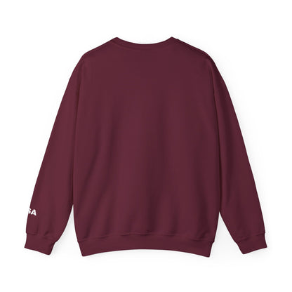 Printify USA crewneck sweatshirt featuring patriotic design, cozy and stylish for all seasons, perfect for American pride.