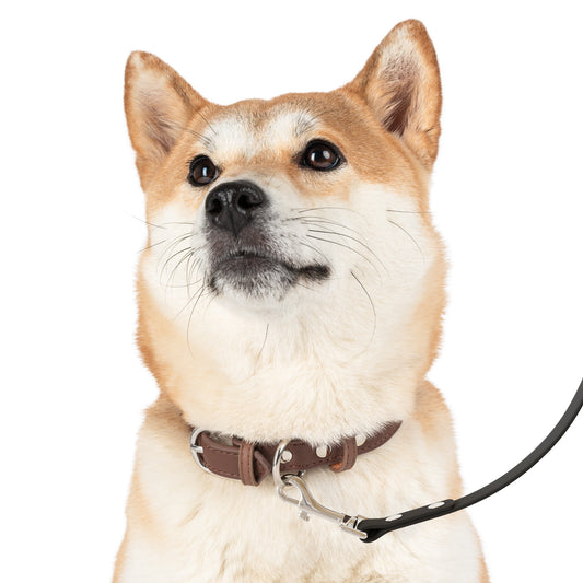 Stylish Dog Leash for Active Pet Owners, Dog Walking Gear, Pet Accessories, Camo Print Leash, Stylish Leash for Dogs - TRV