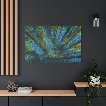 Forest Canopy Matte Canvas Wall Art — Upward View of Trees, Blue & Green Nature Print