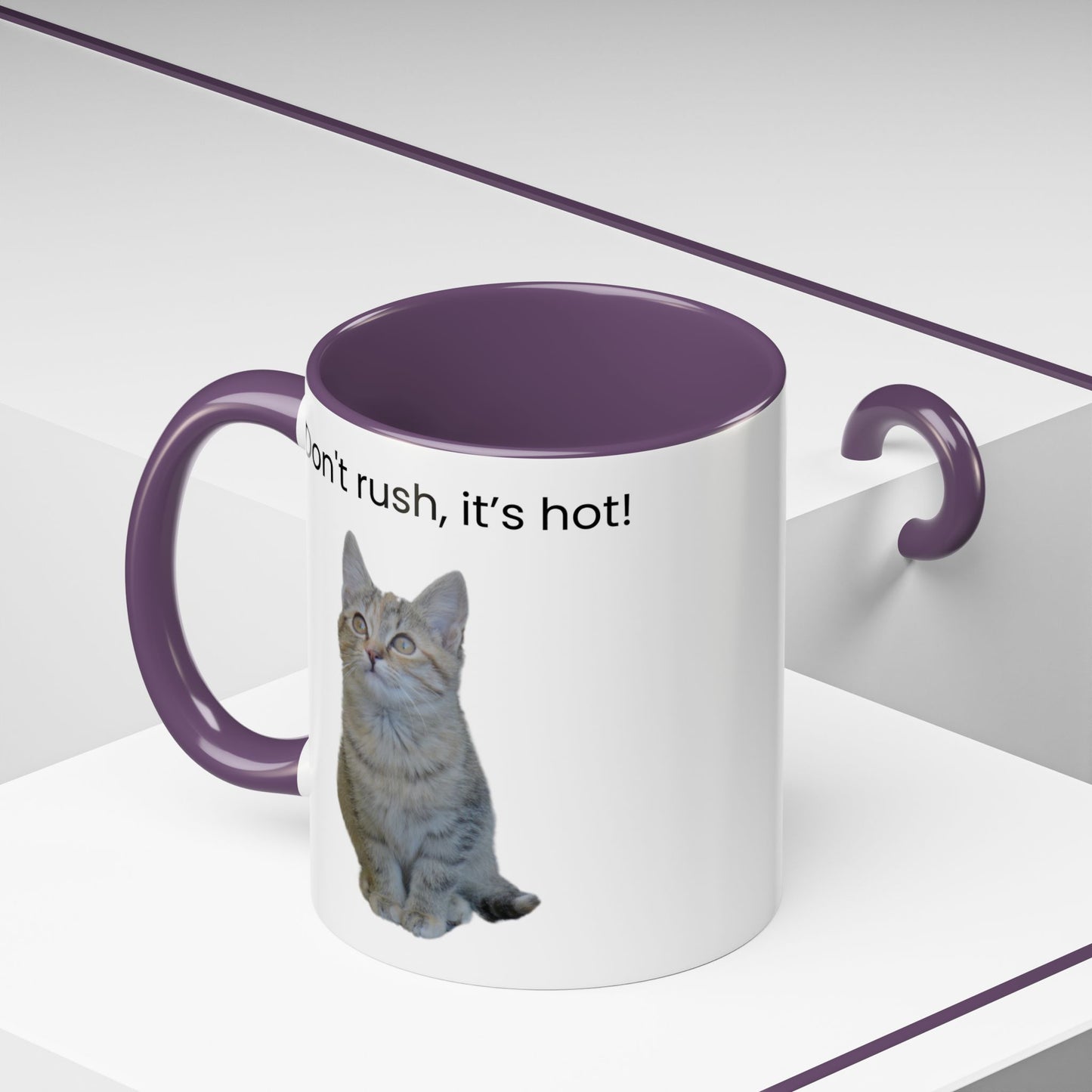 Cat Coffee Mug - "Don't rush, it's hot!" Accent Ceramic Mug (11/15 oz)
