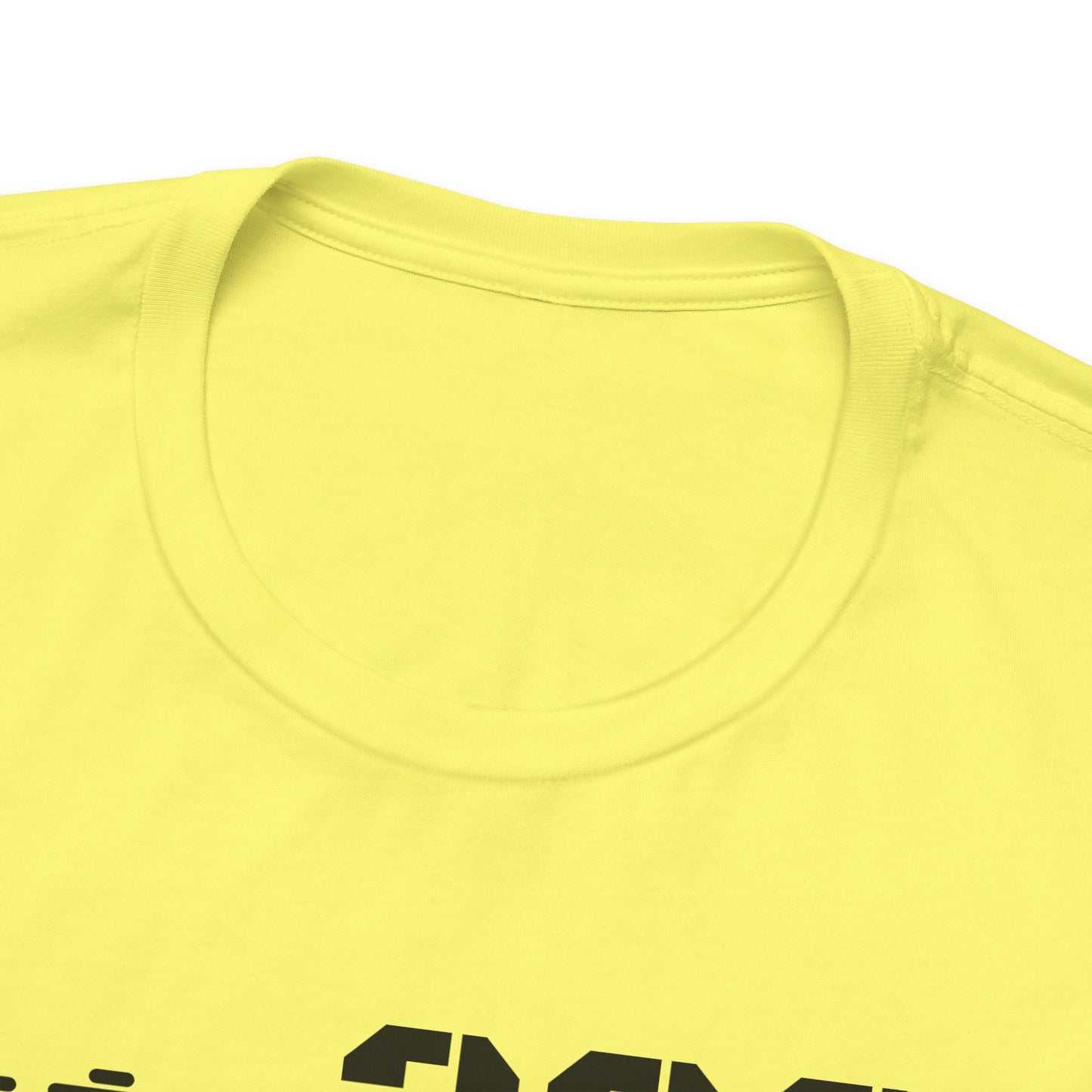 Established 2002 Unisex Tee, Vintage Style T-Shirt, Year Established Shirt, Retro Graphic Tee, Customizable Gift Idea