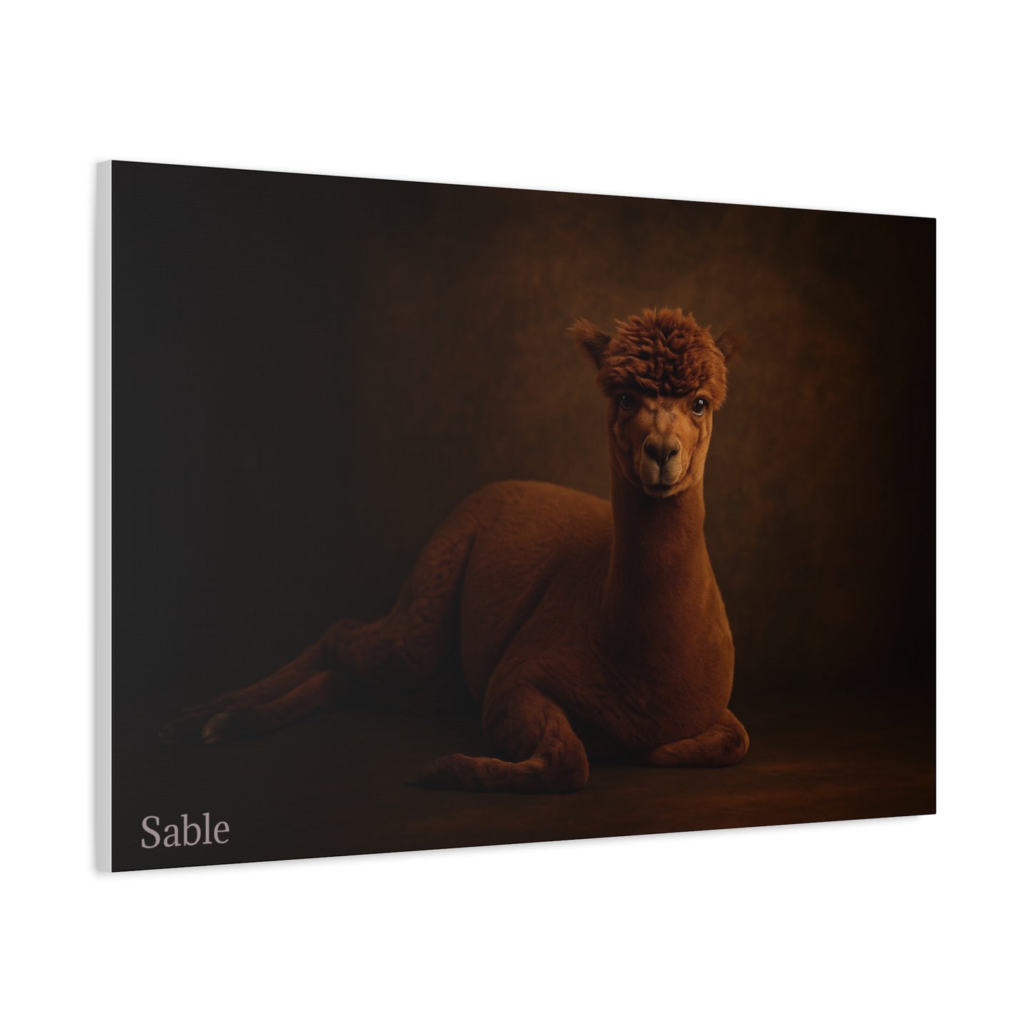 Alpaca portrait printed on matte canvas by Printify, showcasing detailed fur and gentle expression.