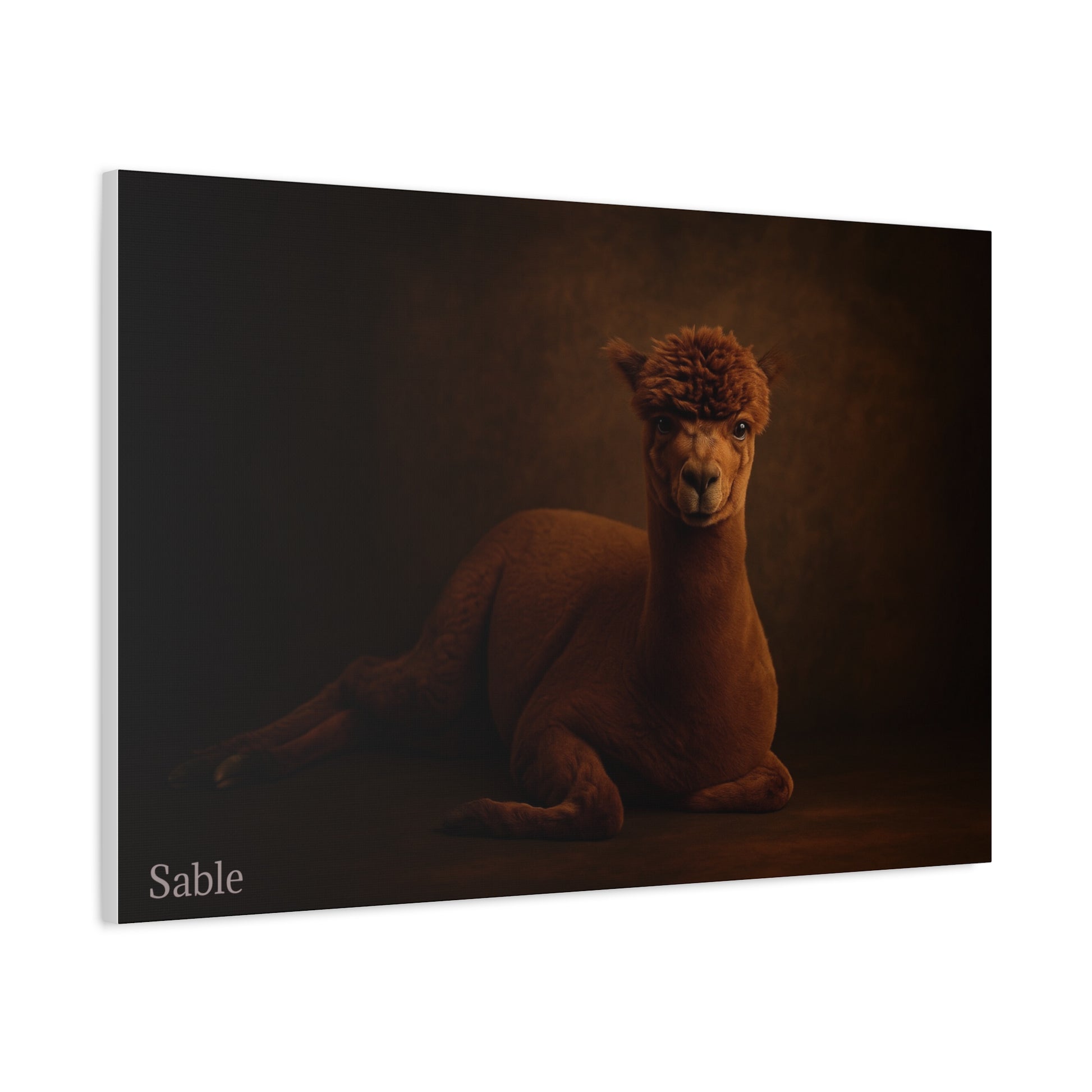 Alpaca portrait printed on matte canvas by Printify, showcasing detailed fur and gentle expression.