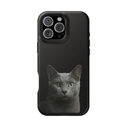 Russian Blue Cat Phone Case — Magnetic Impact-Resistant iPhone Cover