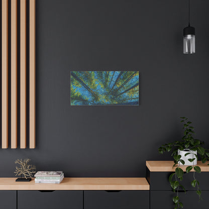 Forest Canopy Matte Canvas Wall Art — Upward View of Trees, Blue & Green Nature Print