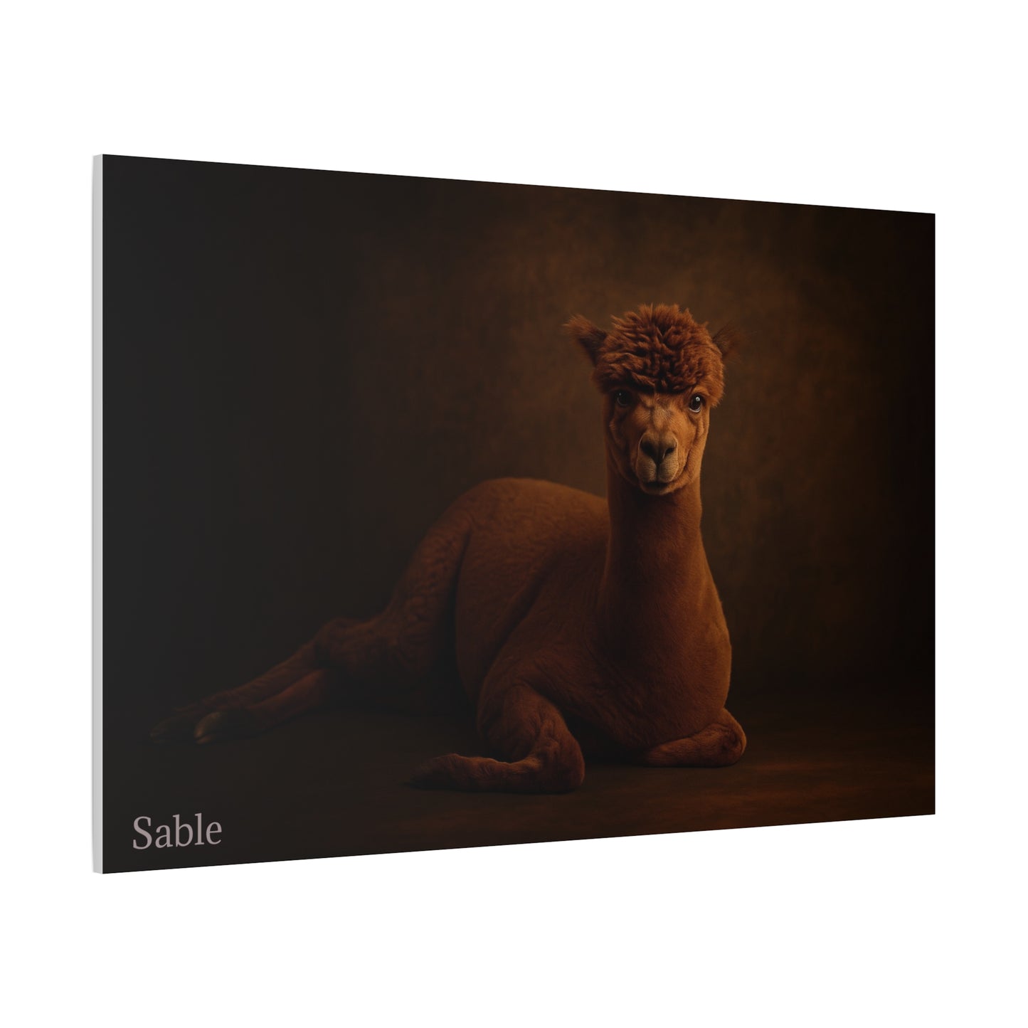 Alpaca portrait on matte canvas print by Printify, featuring detailed alpaca image on high-quality canvas artwork.