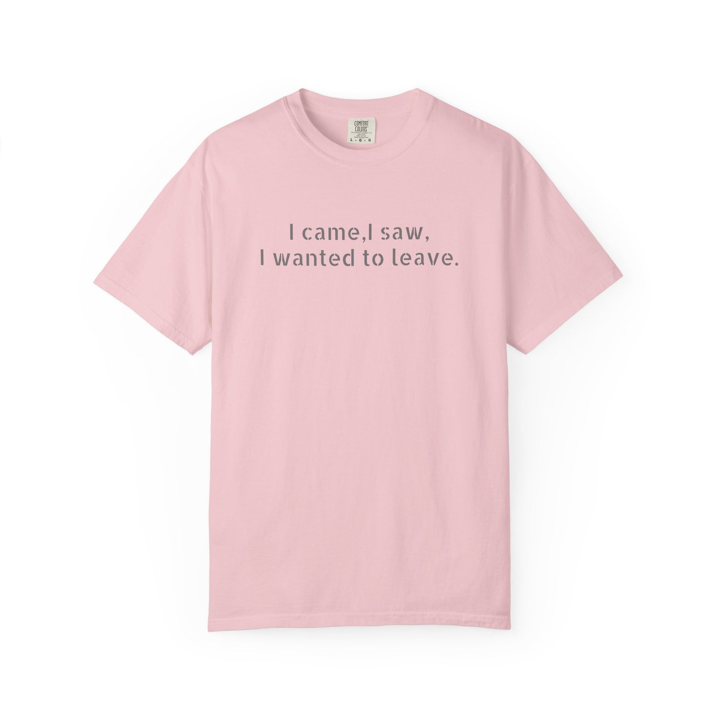 I came, I saw, I wanted to leave T-shirt | Minimal Text Tee