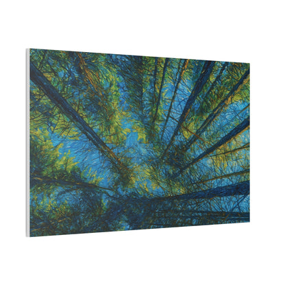 Forest Canopy Canvas Print — Upward View Trees Wall Art (Stretched Canvas 0.75")