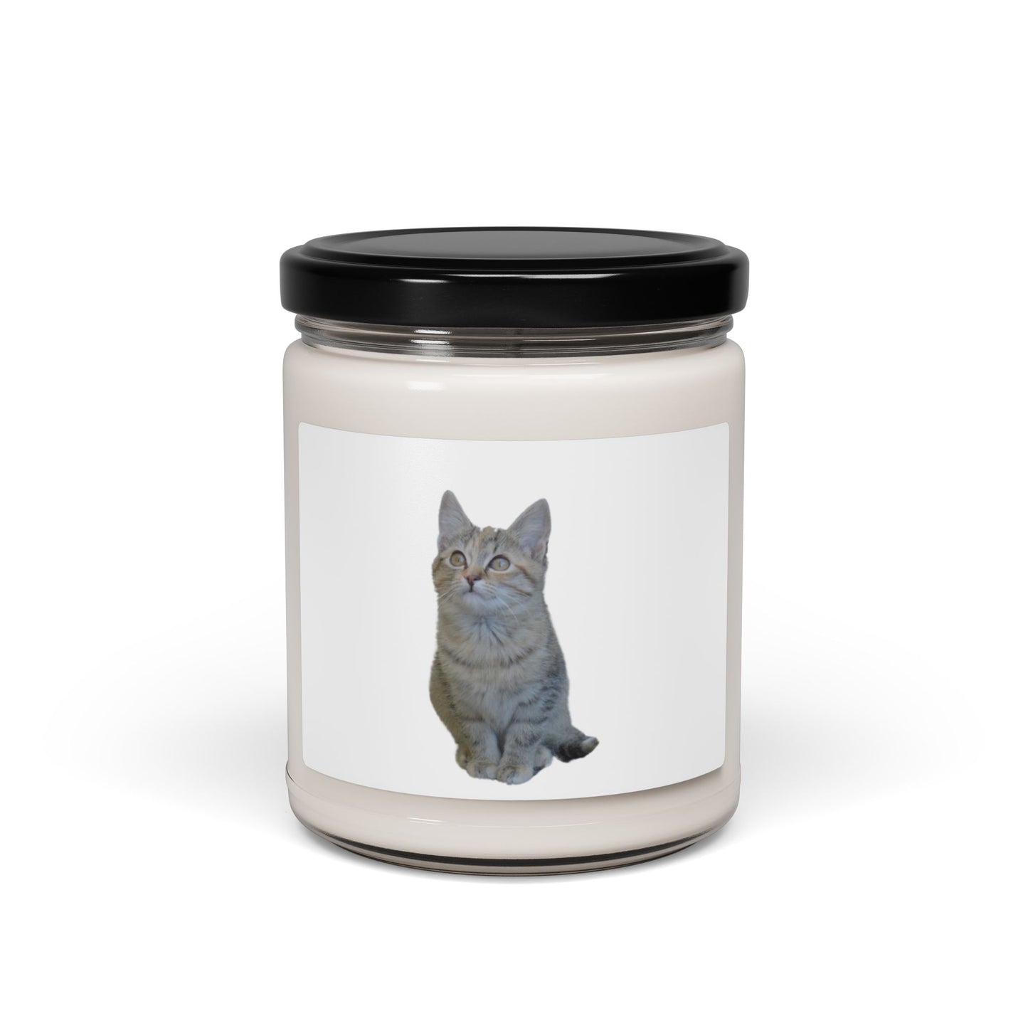 Cat-Themed Scented Soy Candle - 9oz - Perfect for Cat Lovers - TRV