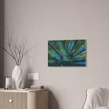 Forest Canopy Canvas Print — Upward View Trees Wall Art (Stretched Canvas 0.75")