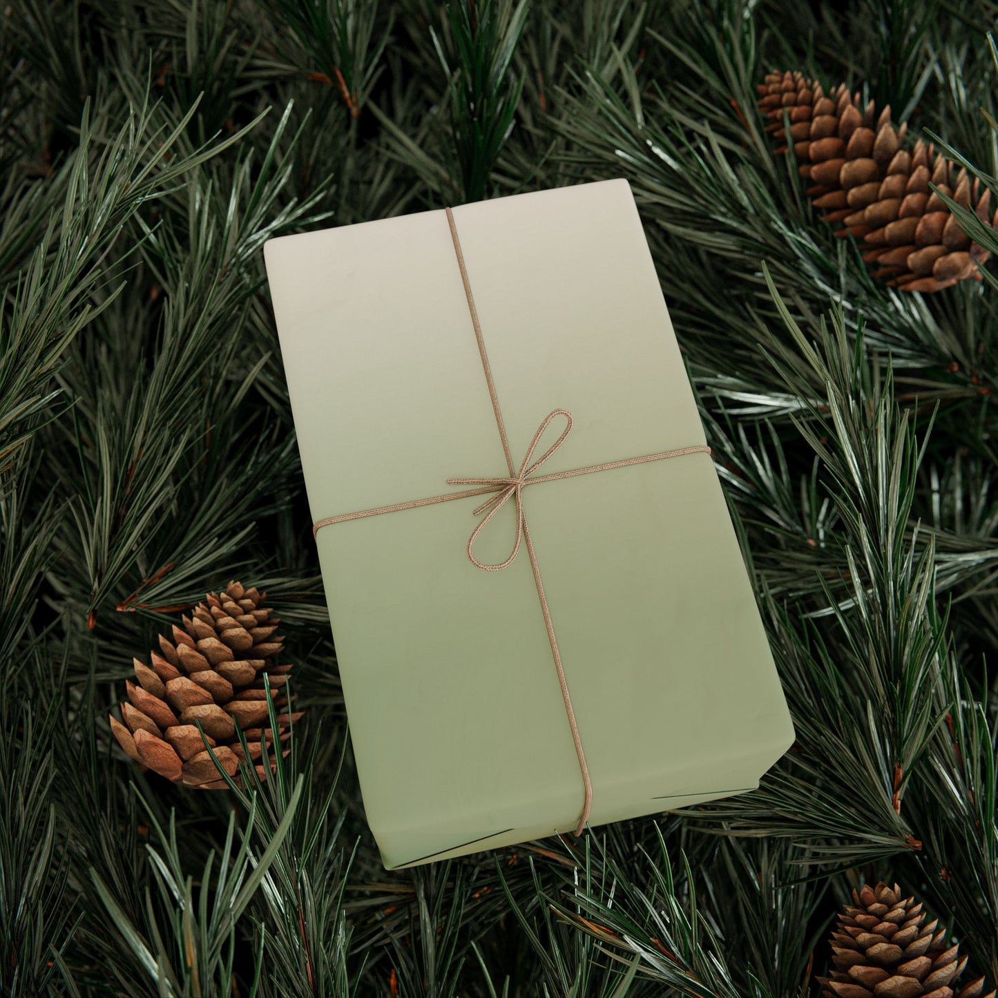 Ombre Sage Wrapping Paper Roll — Neutral Green Gradient Gift Wrap