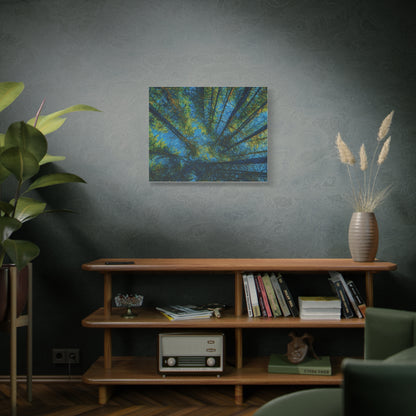 Forest Canopy Matte Canvas Wall Art — Upward View of Trees, Blue & Green Nature Print