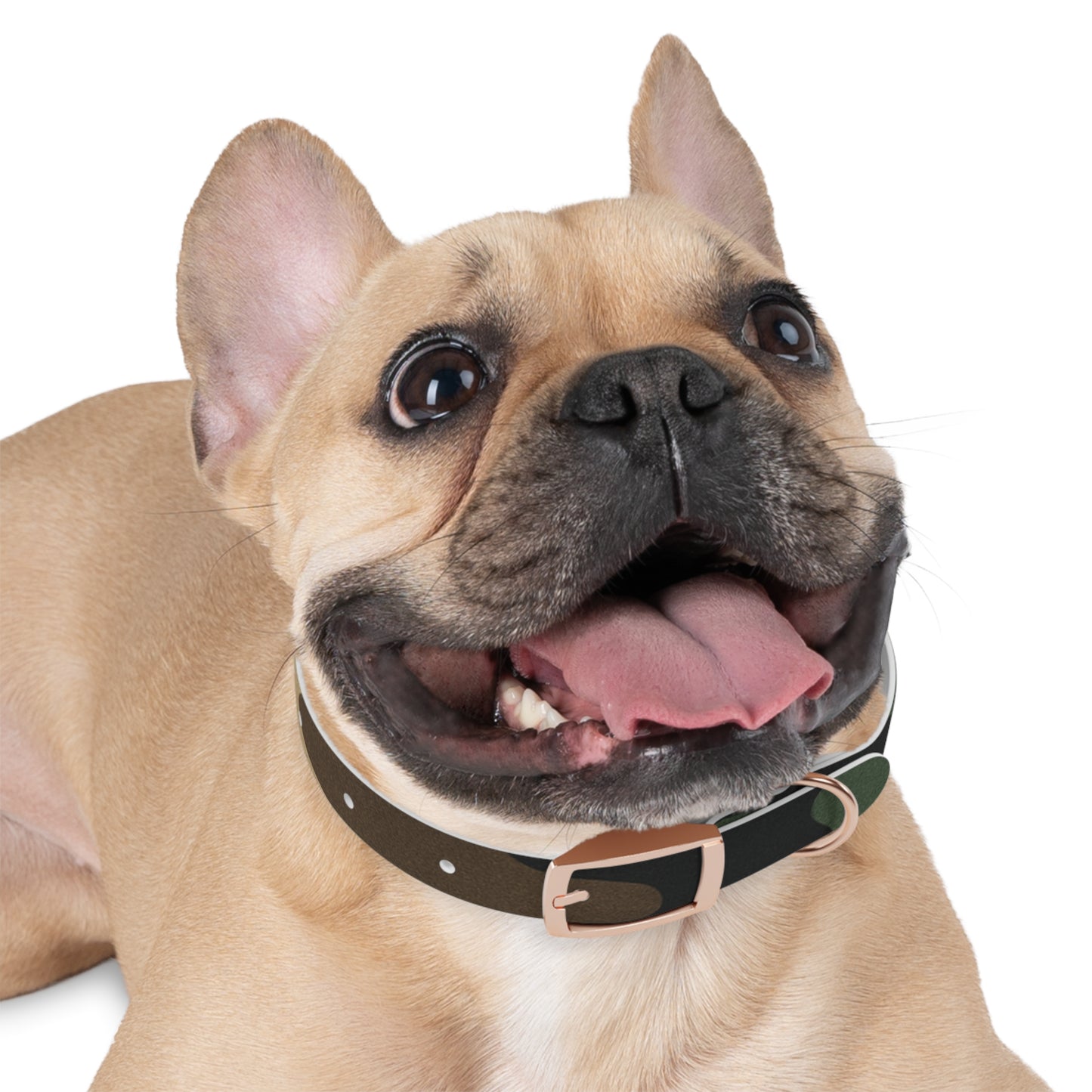 Stylish Camouflage Dog Collar - Personalized Pet Gift, Durable Adjustable Leash, Unique Dog Accessory, Pet Fashion - TRV