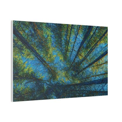 Forest Canopy Canvas Print — Upward View Trees Wall Art (Stretched Canvas 0.75")