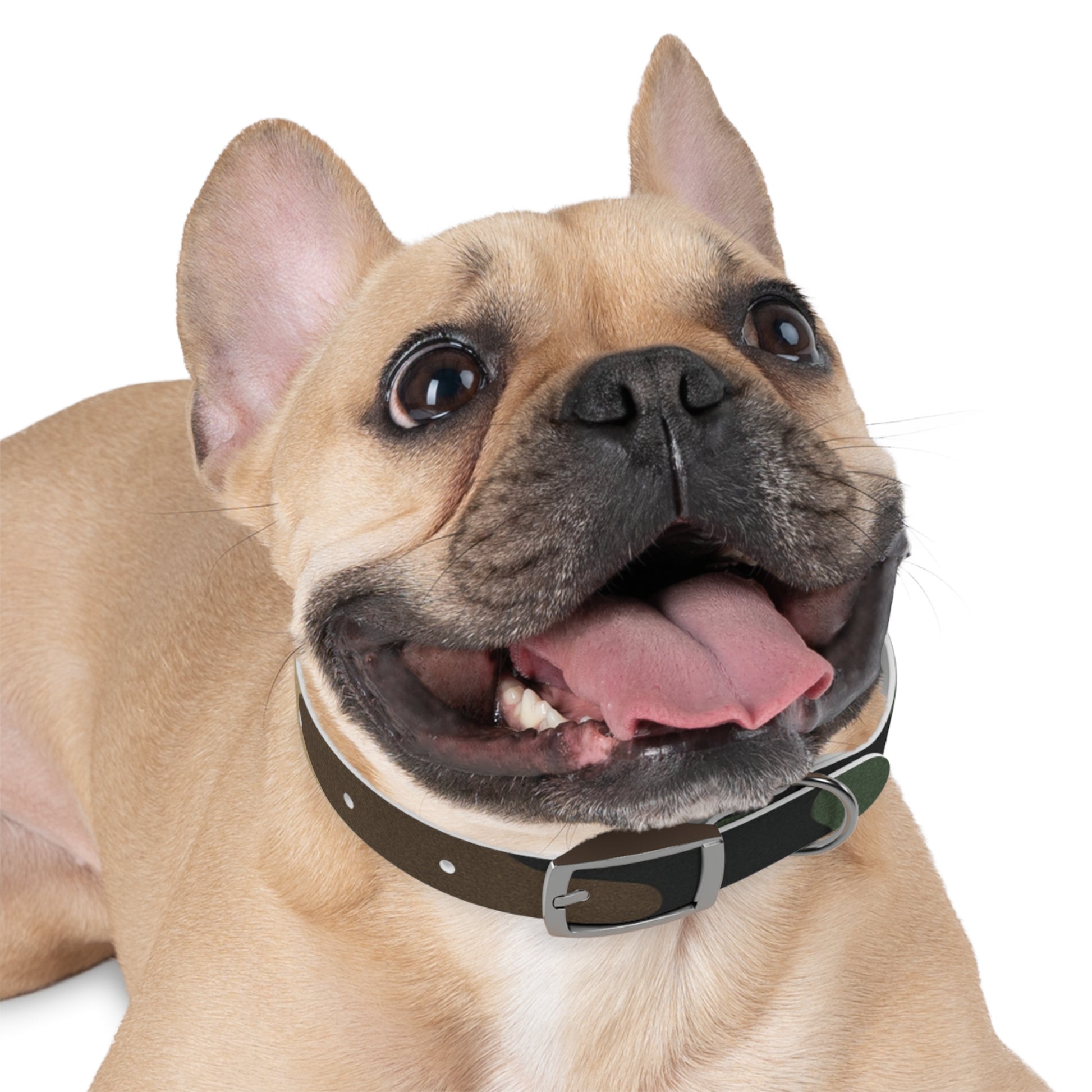 Stylish Camouflage Dog Collar - Personalized Pet Gift, Durable Adjustable Leash, Unique Dog Accessory, Pet Fashion - TRV