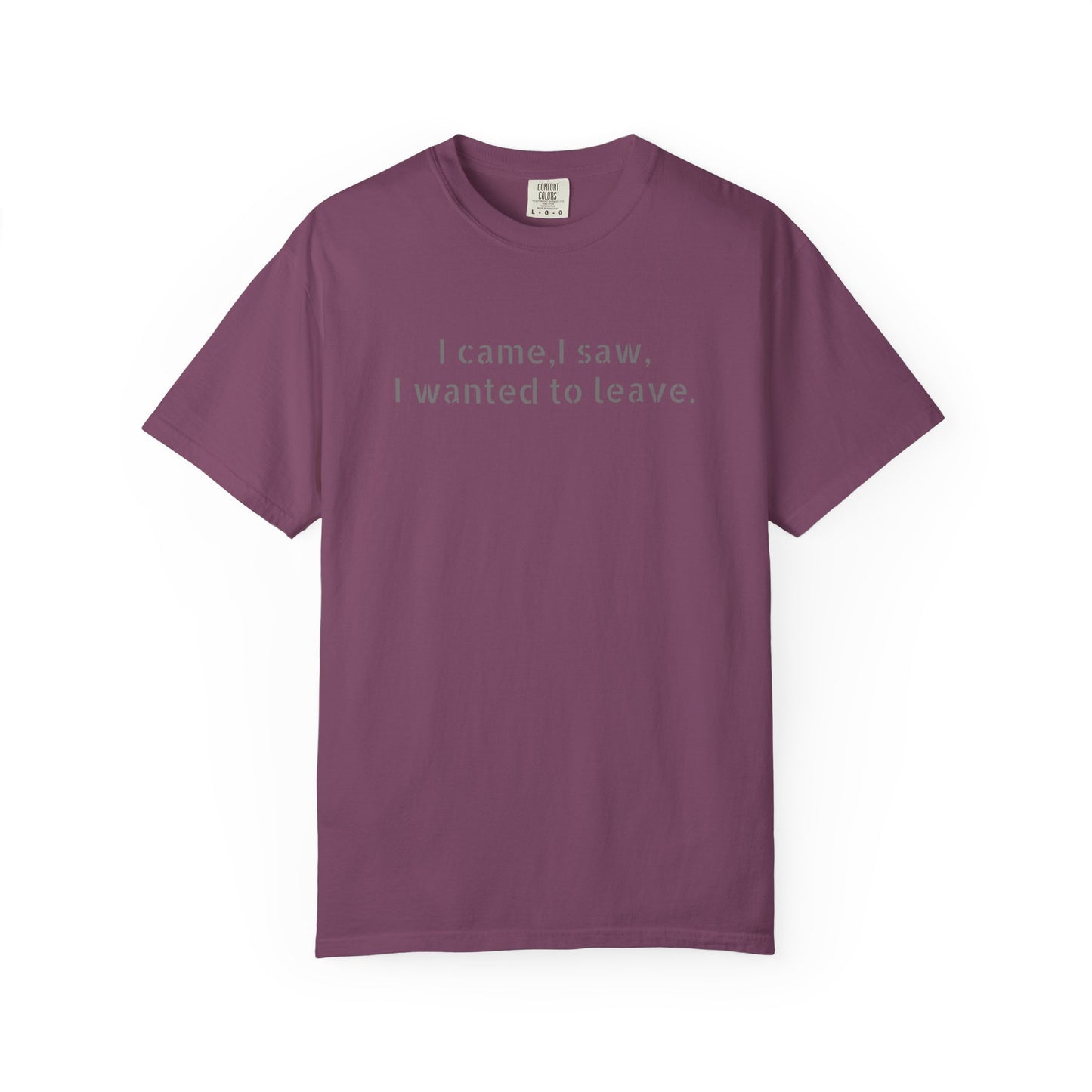 I came, I saw, I wanted to leave T-shirt | Minimal Text Tee