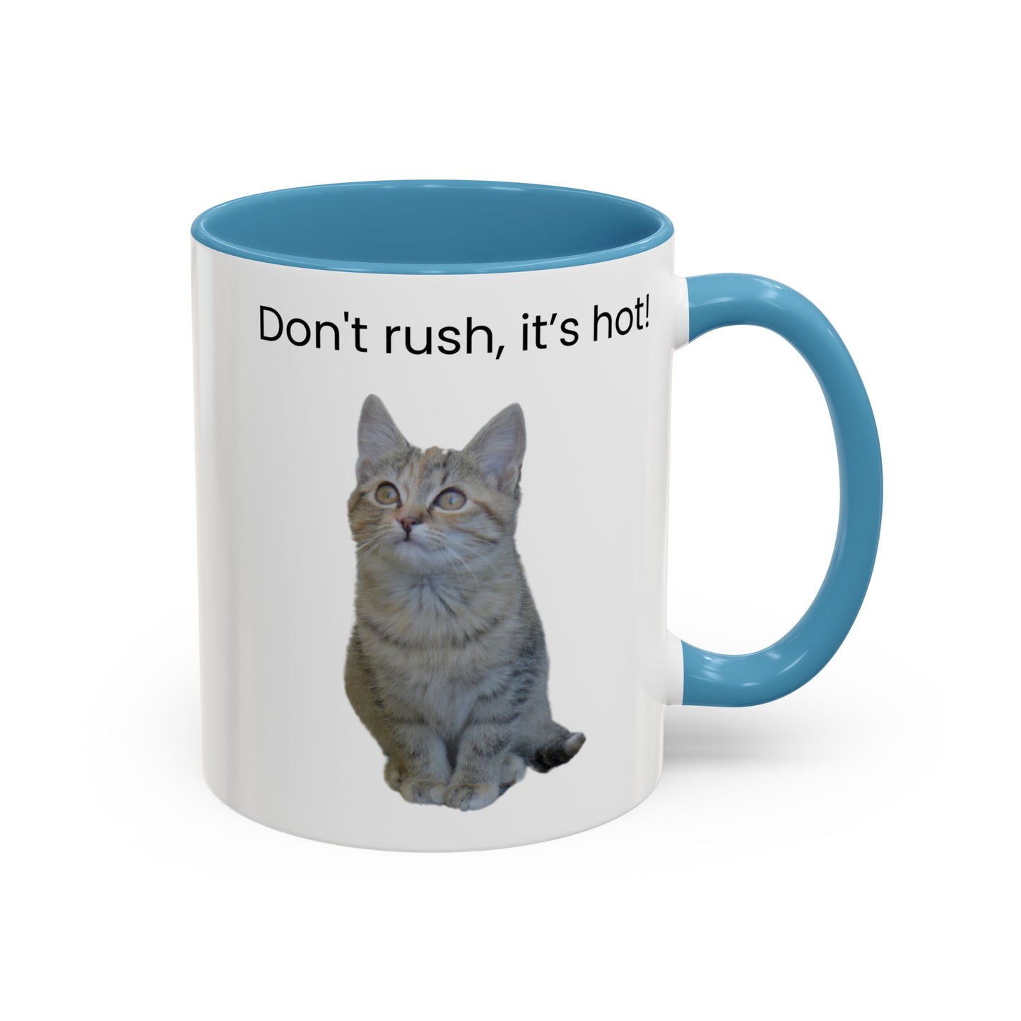 Cat Coffee Mug - "Don't rush, it's hot!" Accent Ceramic Mug (11/15 oz)