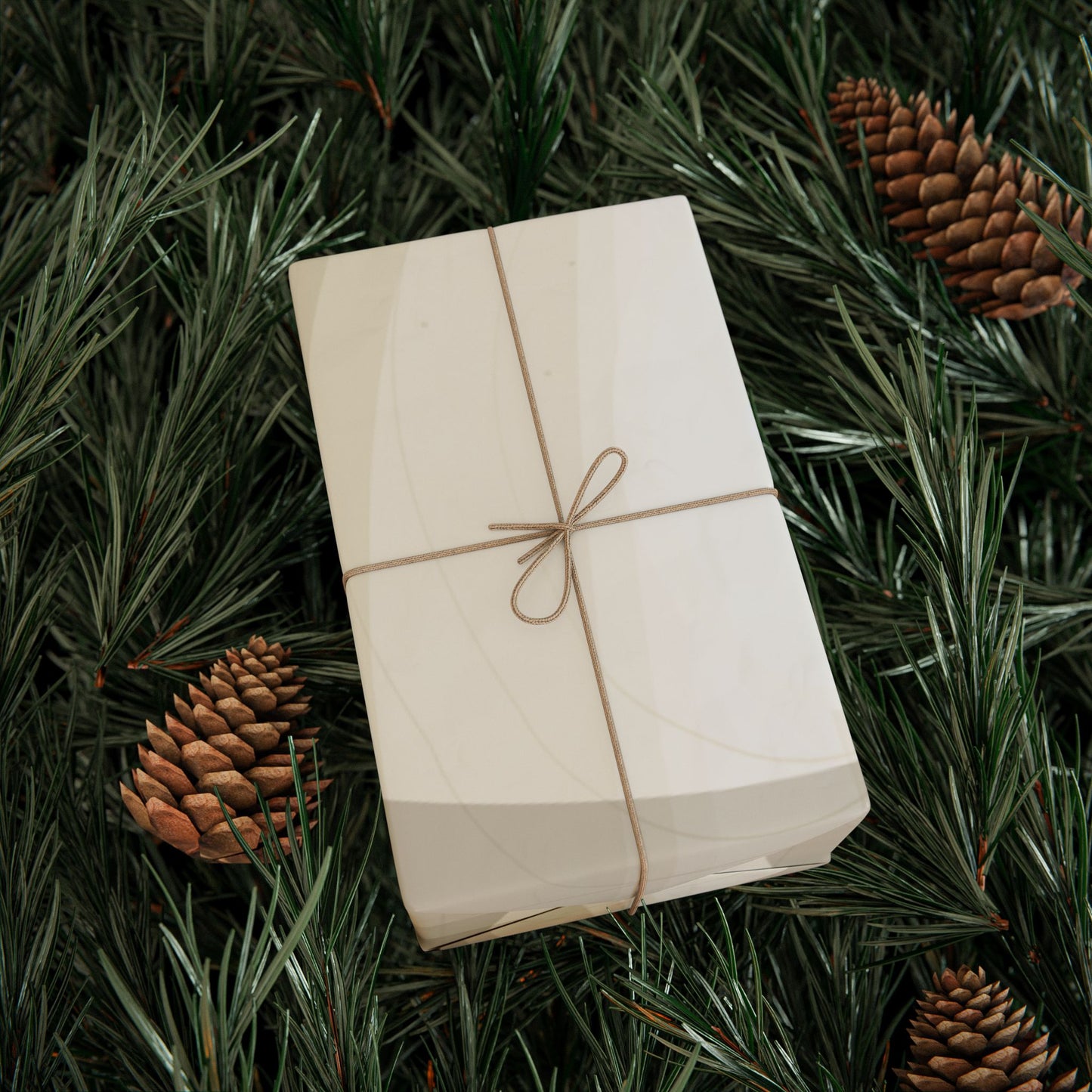 Neutral Abstract Circles Wrapping Paper
