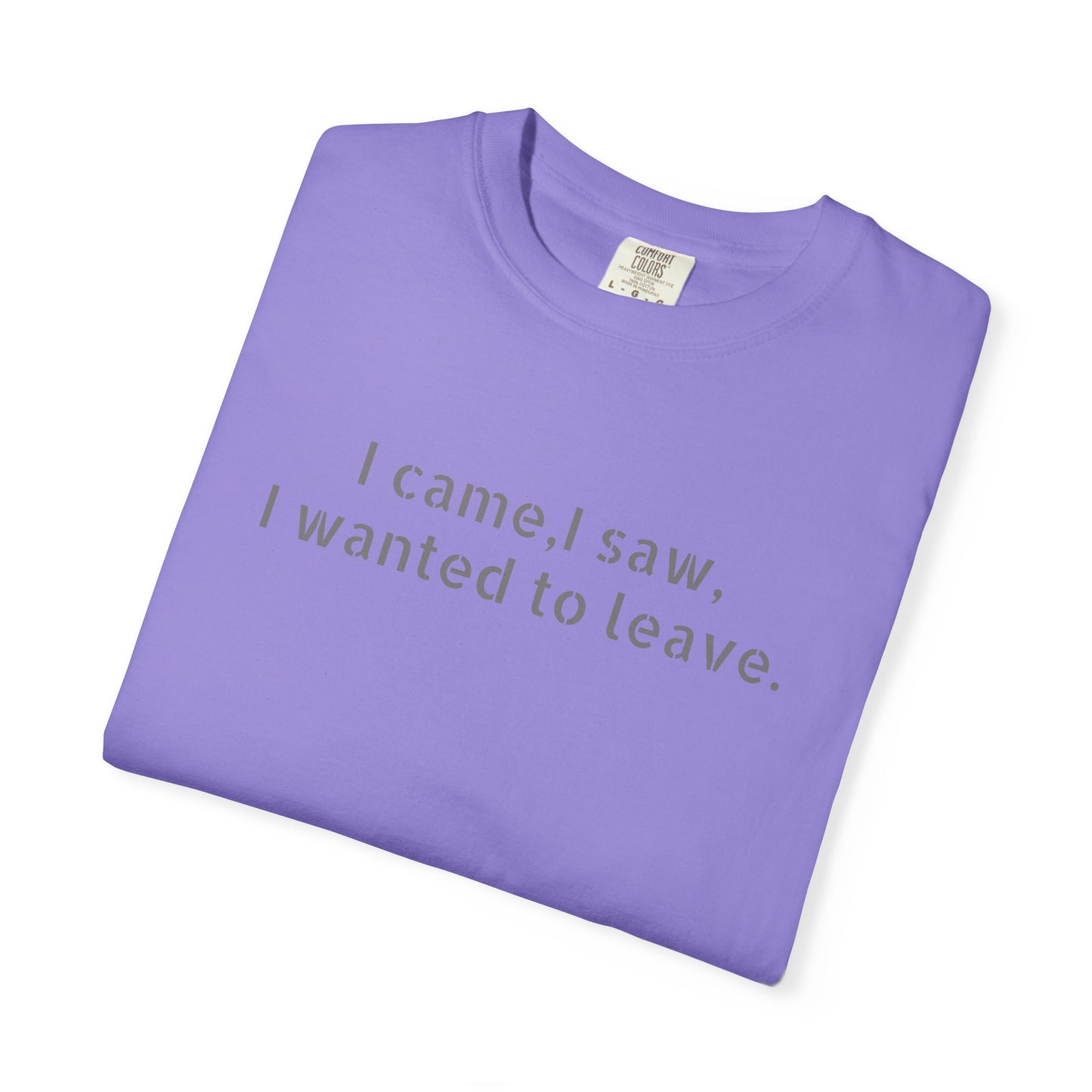 I came, I saw, I wanted to leave T-shirt | Minimal Text Tee