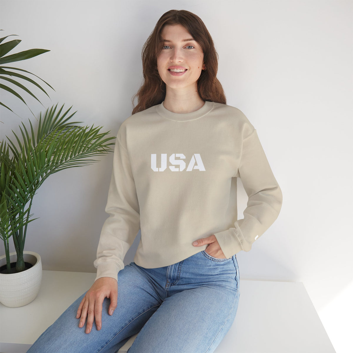 Printify USA crewneck sweatshirt featuring patriotic design, cozy fit, perfect for casual wear and seasonal gift-giving.