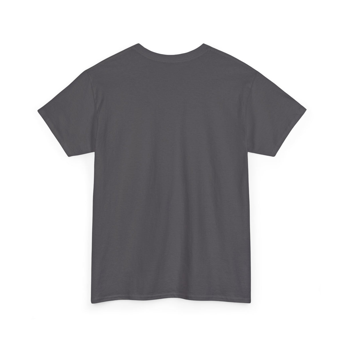 Vintage minimalist Est. 1995 T-shirt by Printify featuring a clean design celebrating a 1995 birthday.
