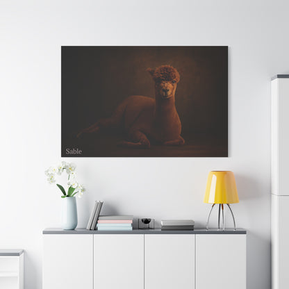 Alpaca portrait printed on matte canvas, featuring detailed artwork and soft neutral tones, from Printify.