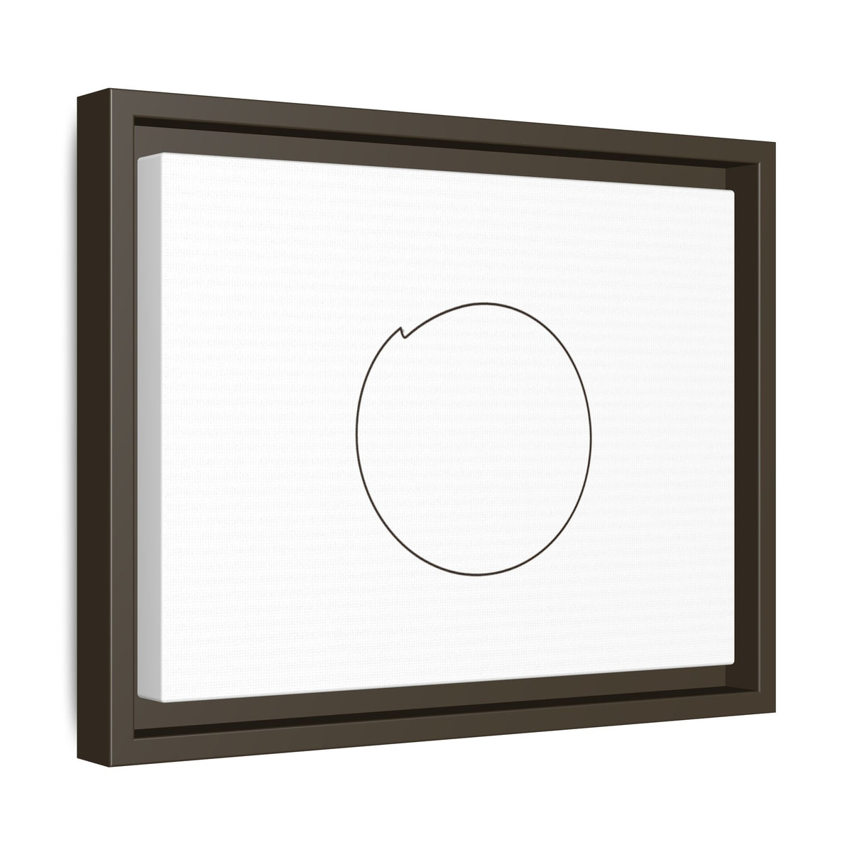 Framed matte canvas wall art featuring a minimal circular line design in black and white.