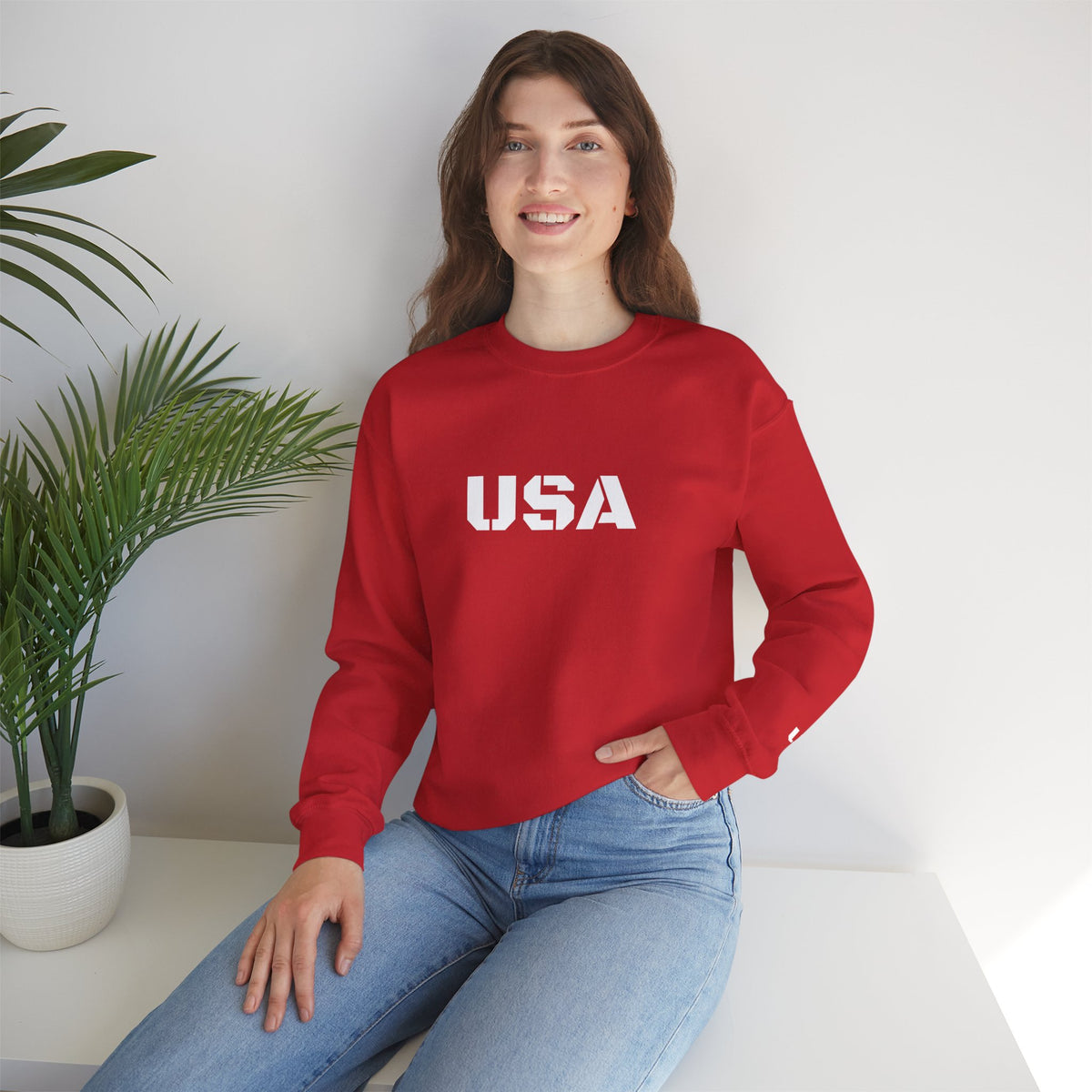 Printify USA crewneck sweatshirt with patriotic design, cozy fit, perfect for all seasons, showcasing red, white, and blue details.