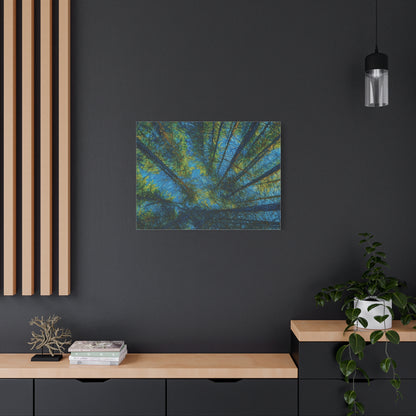 Forest Canopy Matte Canvas Wall Art — Upward View of Trees, Blue & Green Nature Print