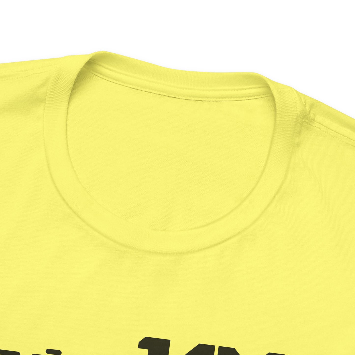 Established 1991 Unisex Jersey Tee | Vintage Anniversary Gift | Casual Wear, Birthday Shirt, Retro Style, Statement Tee, Gift for Him/Her - TRV