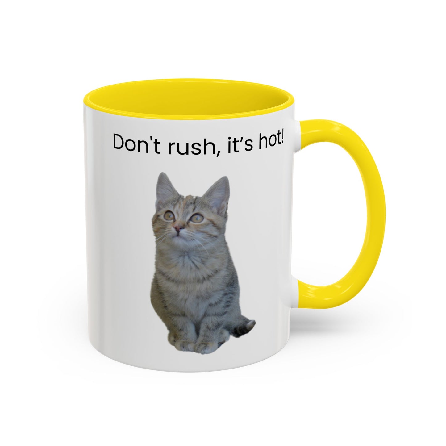 Cat Coffee Mug - "Don't rush, it's hot!" Accent Ceramic Mug (11/15 oz)