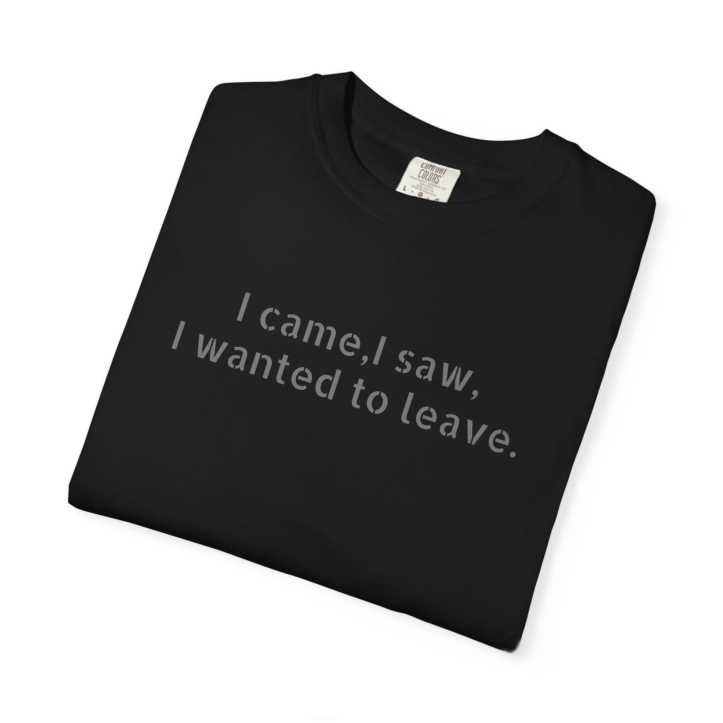 I came, I saw, I wanted to leave T-shirt | Minimal Text Tee