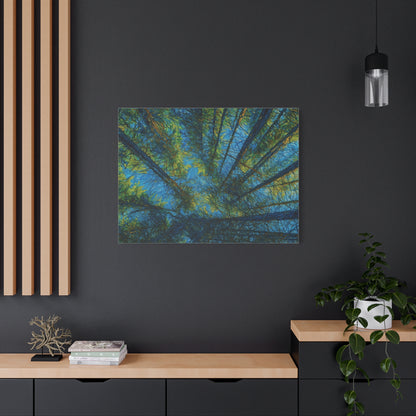 Forest Canopy Matte Canvas Wall Art — Upward View of Trees, Blue & Green Nature Print