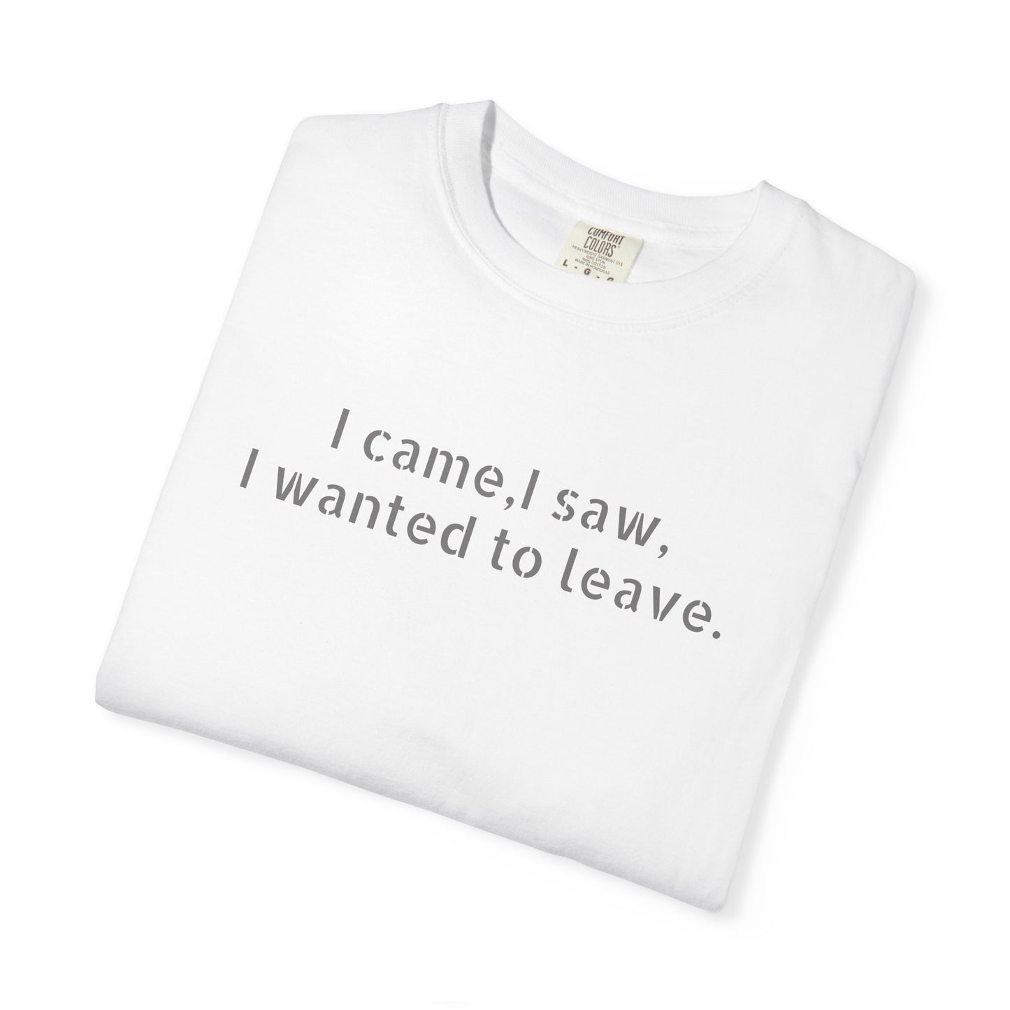 I came, I saw, I wanted to leave T-shirt | Minimal Text Tee