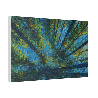 Forest Canopy Canvas Print — Upward View Trees Wall Art (Stretched Canvas 0.75")