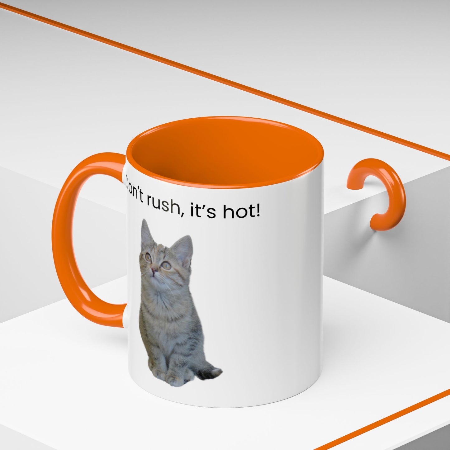 Cat Coffee Mug - "Don't rush, it's hot!" Accent Ceramic Mug (11/15 oz)