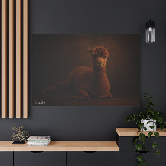 Alpaca portrait on matte canvas featuring a detailed, realistic image of a cute alpaca, printed by Printify.