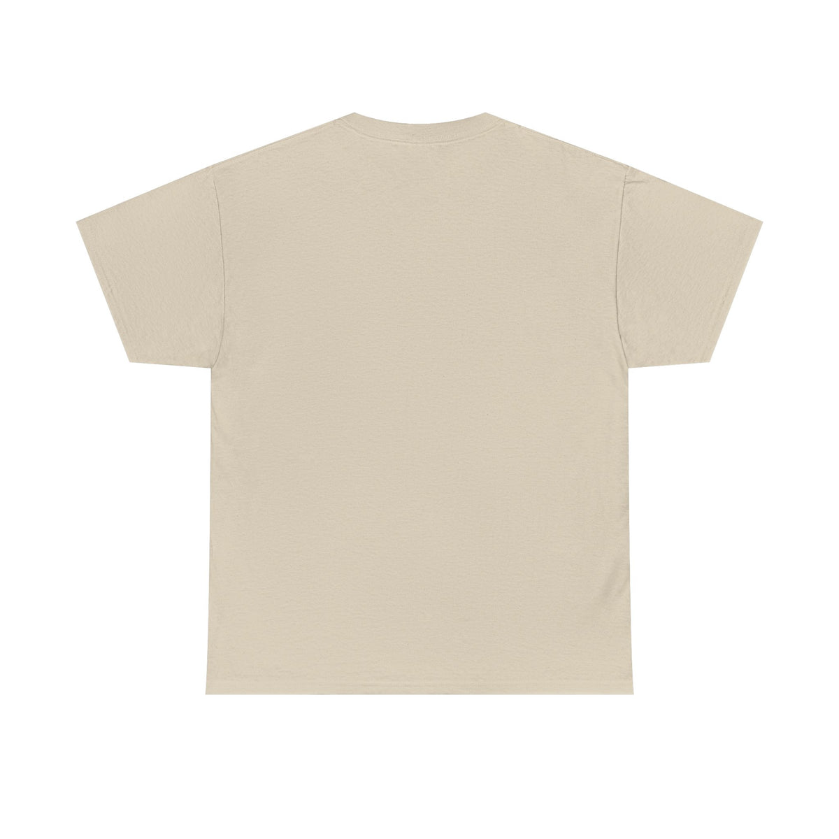 Vintage-style Printify "Est. 1995" T-shirt featuring minimalist design and birthday theme, displayed on a neutral background.