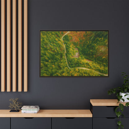 Multi-color framed matte canvas wall art featuring an aerial forest path landscape by Printify.