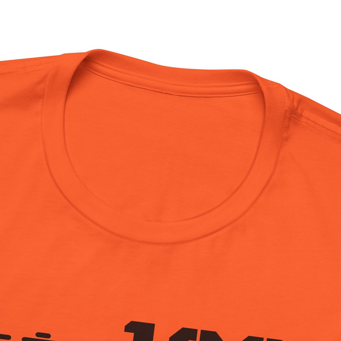 Est. 1993 Unisex Jersey Tee - Vintage Style Shirt, Birthday Gift, Casual Outfit, Celebration Top, Custom Year Shirt