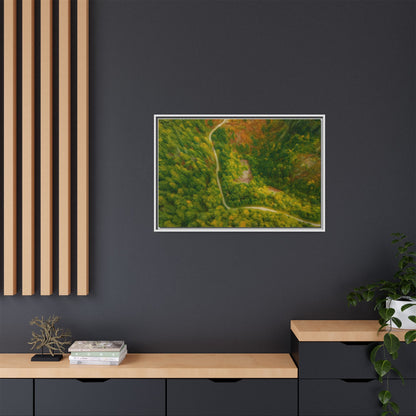 Colorful framed matte canvas wall art featuring an aerial forest path landscape by Printify.
