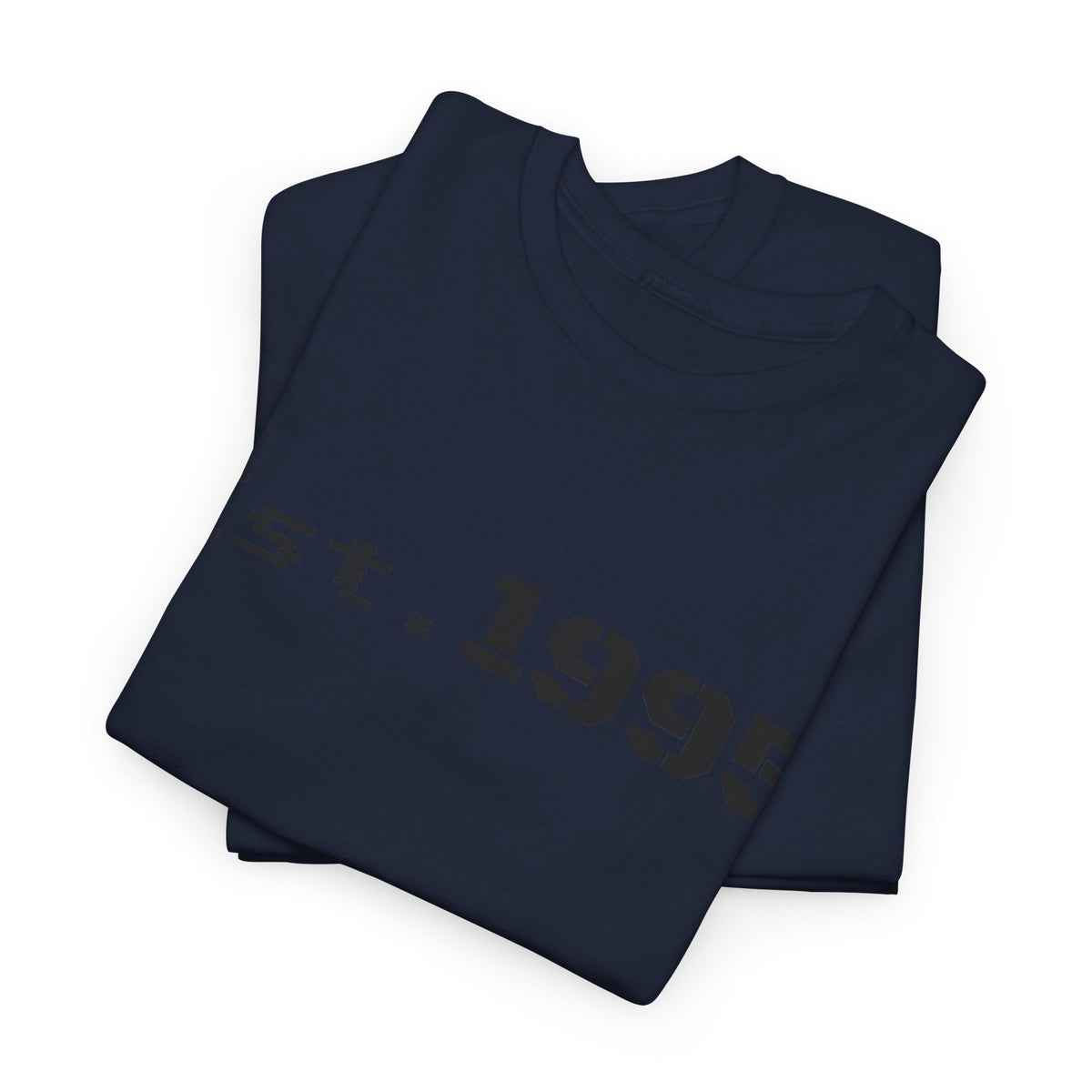 Vintage minimalist printed T-shirt celebrating 1995, featuring "Est. 1995" and "Born in 1995" design on a casual cotton shirt.