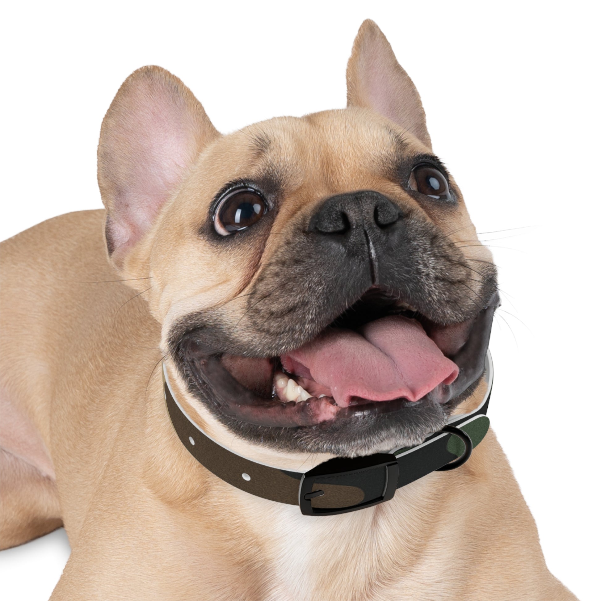 Stylish Camouflage Dog Collar - Personalized Pet Gift, Durable Adjustable Leash, Unique Dog Accessory, Pet Fashion - TRV